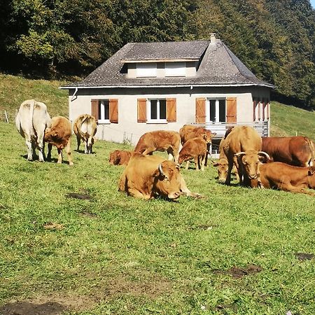 カンパン Tourmaletヴィラ エクステリア 写真