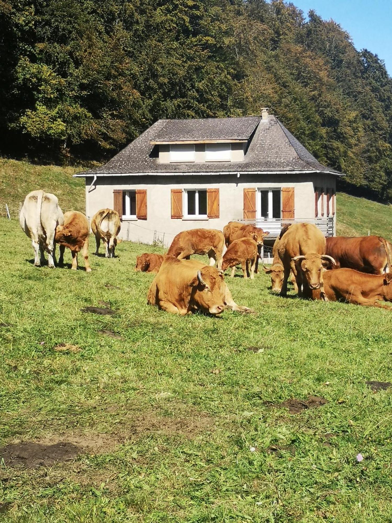 カンパン Tourmaletヴィラ エクステリア 写真